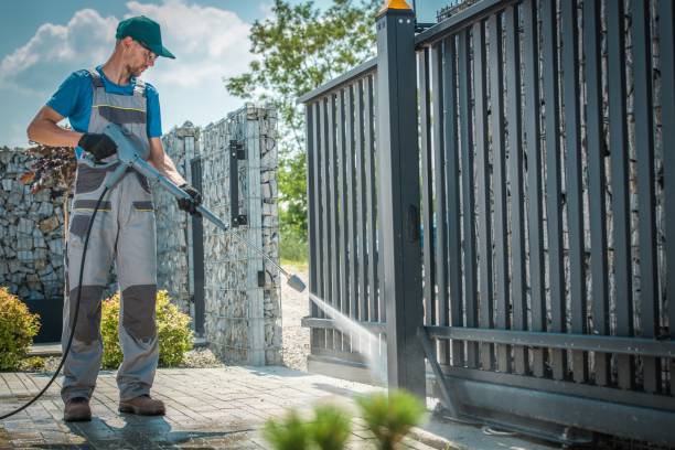 Professional Pressure Washing in Lutz, FL