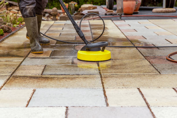 Animal Enclosure Cleaning in Lutz, FL