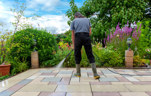 Best Restaurant Pressure Washing  in Lutz, FL