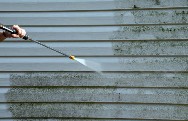 Best Building Exterior Washing  in Lutz, FL