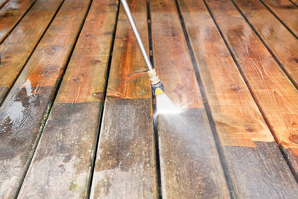 Best Dumpster Area Cleaning  in Lutz, FL
